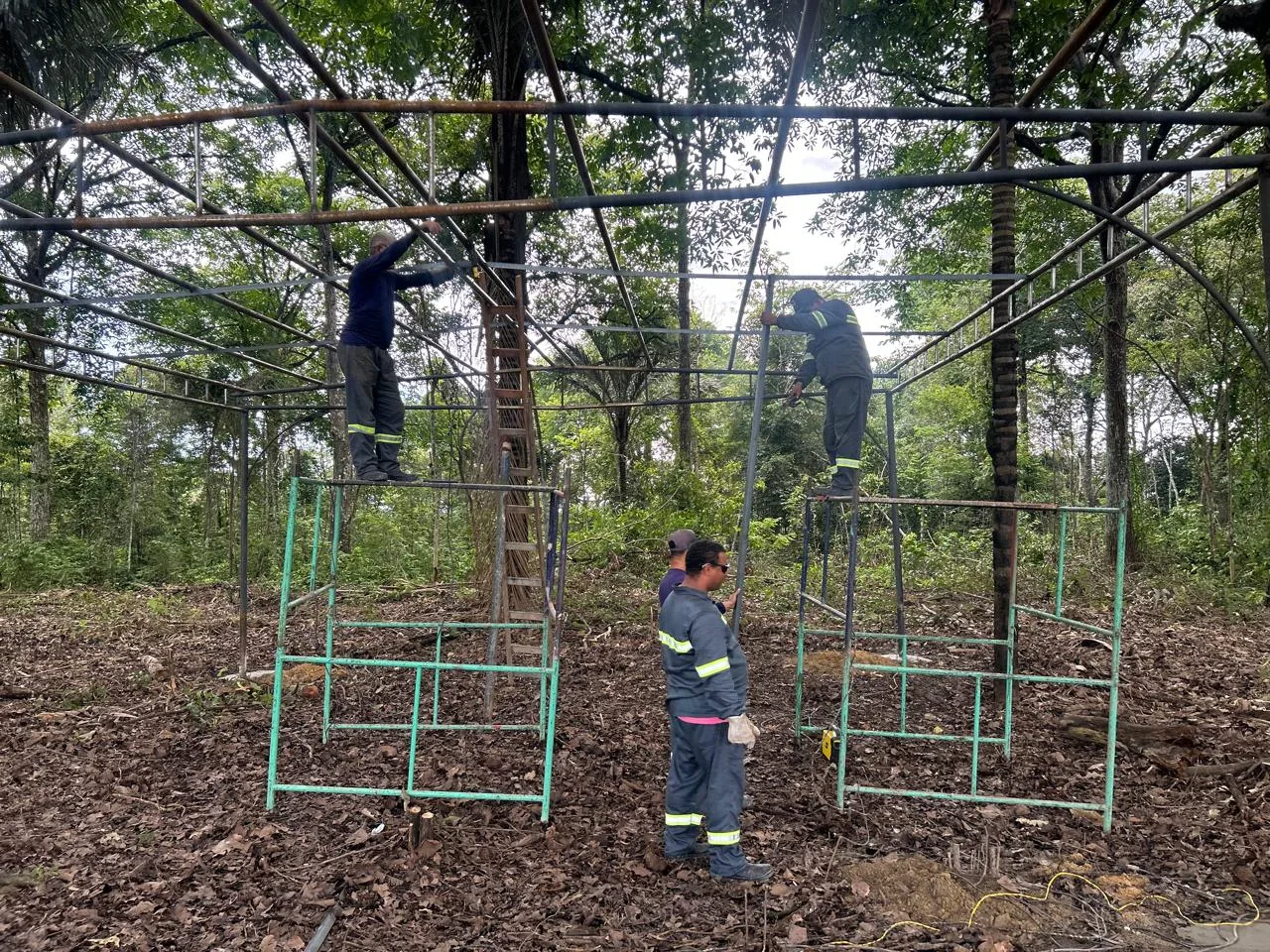 Limpeza de terreno com equipe